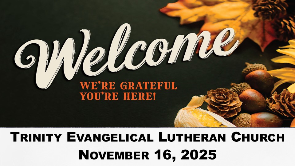 image-1014483-November 16_PPTx-d3d94.jpg